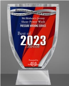 Best of Brick 2023, Business Hall of Fame