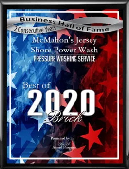 Best of Brick 2020, Business Hall of Fame